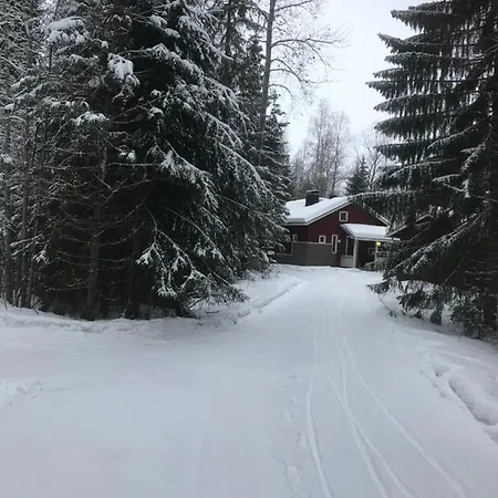 بيت للعطل Haapaniemi