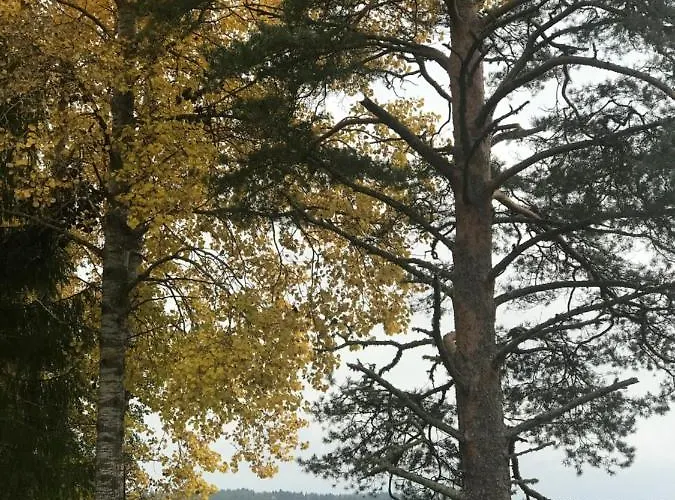 Дом отдыха Haapaniemi Иисалми